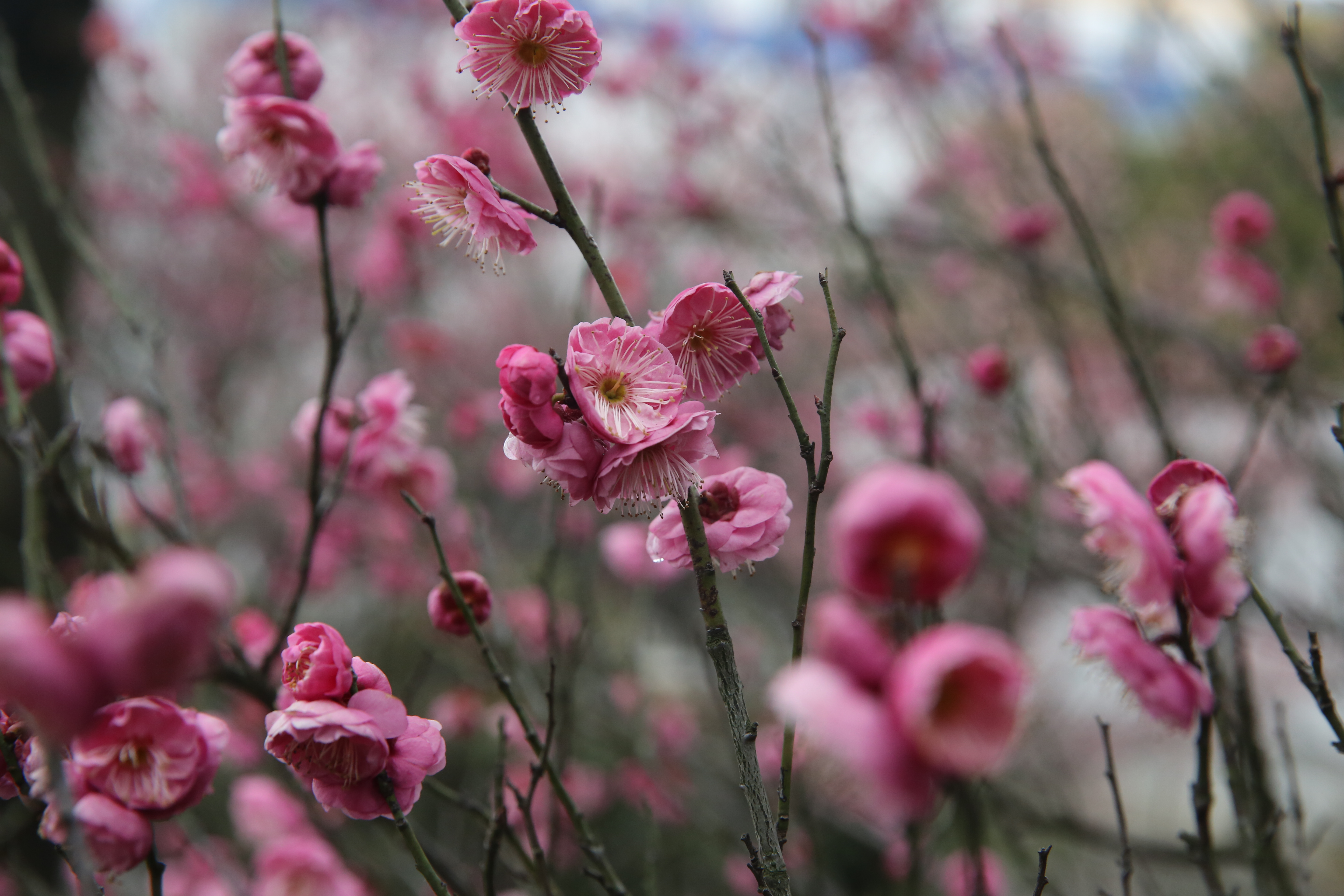 龙八- long8(国际)唯一官方网站