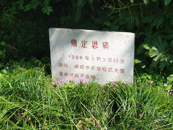 龙八- long8(国际)唯一官方网站