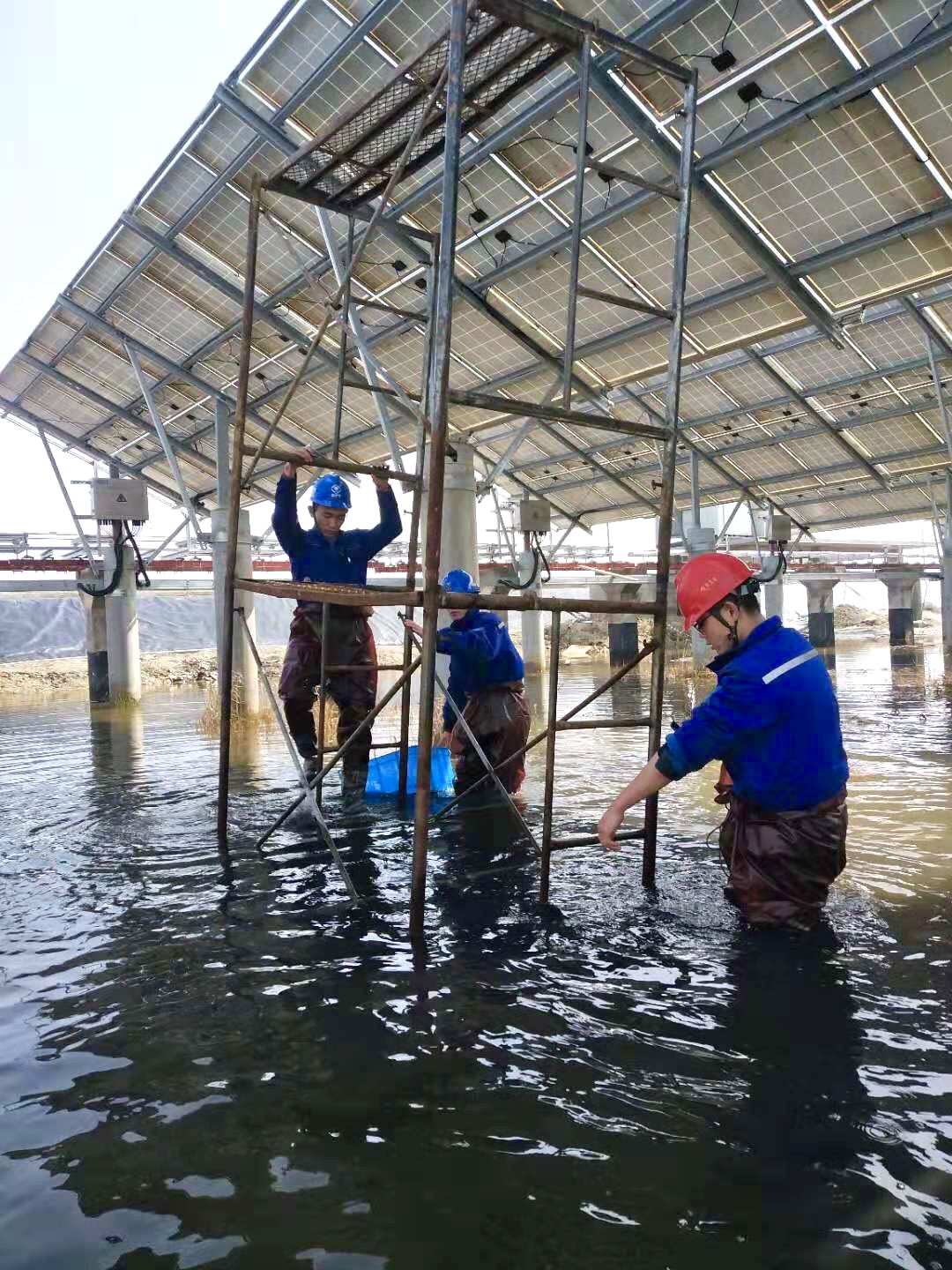 龙八- long8(国际)唯一官方网站