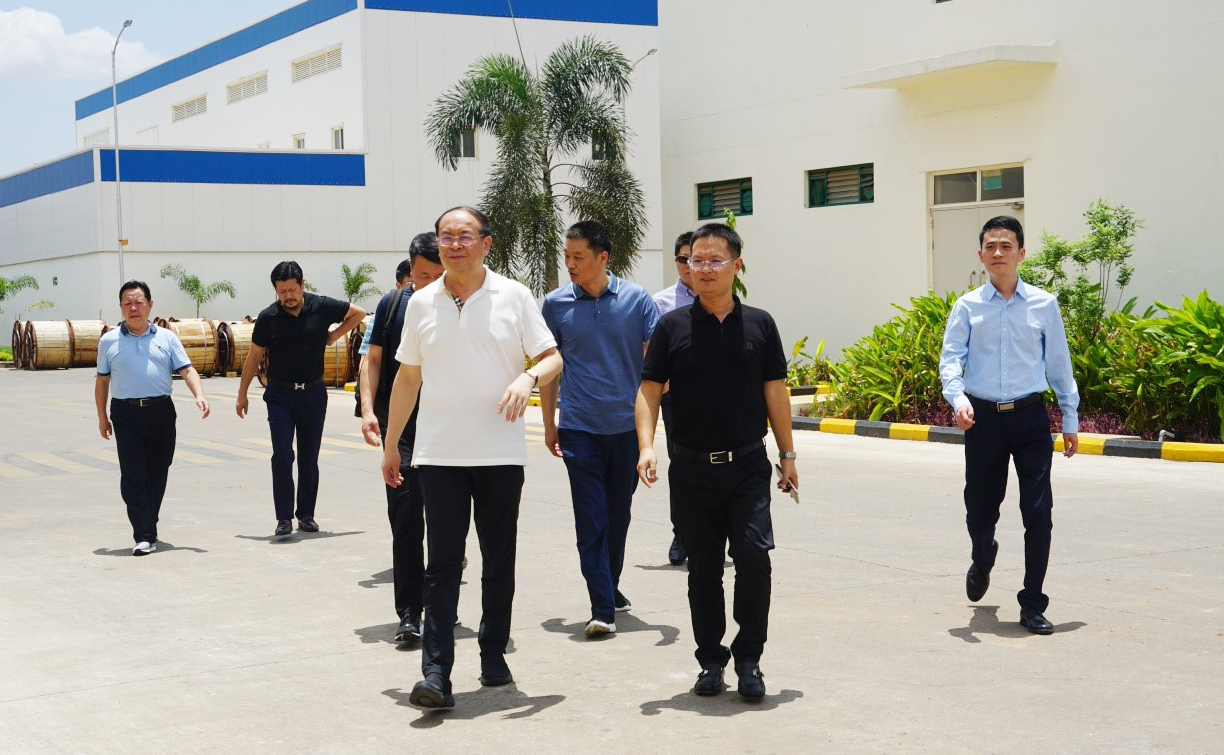 龙八- long8(国际)唯一官方网站