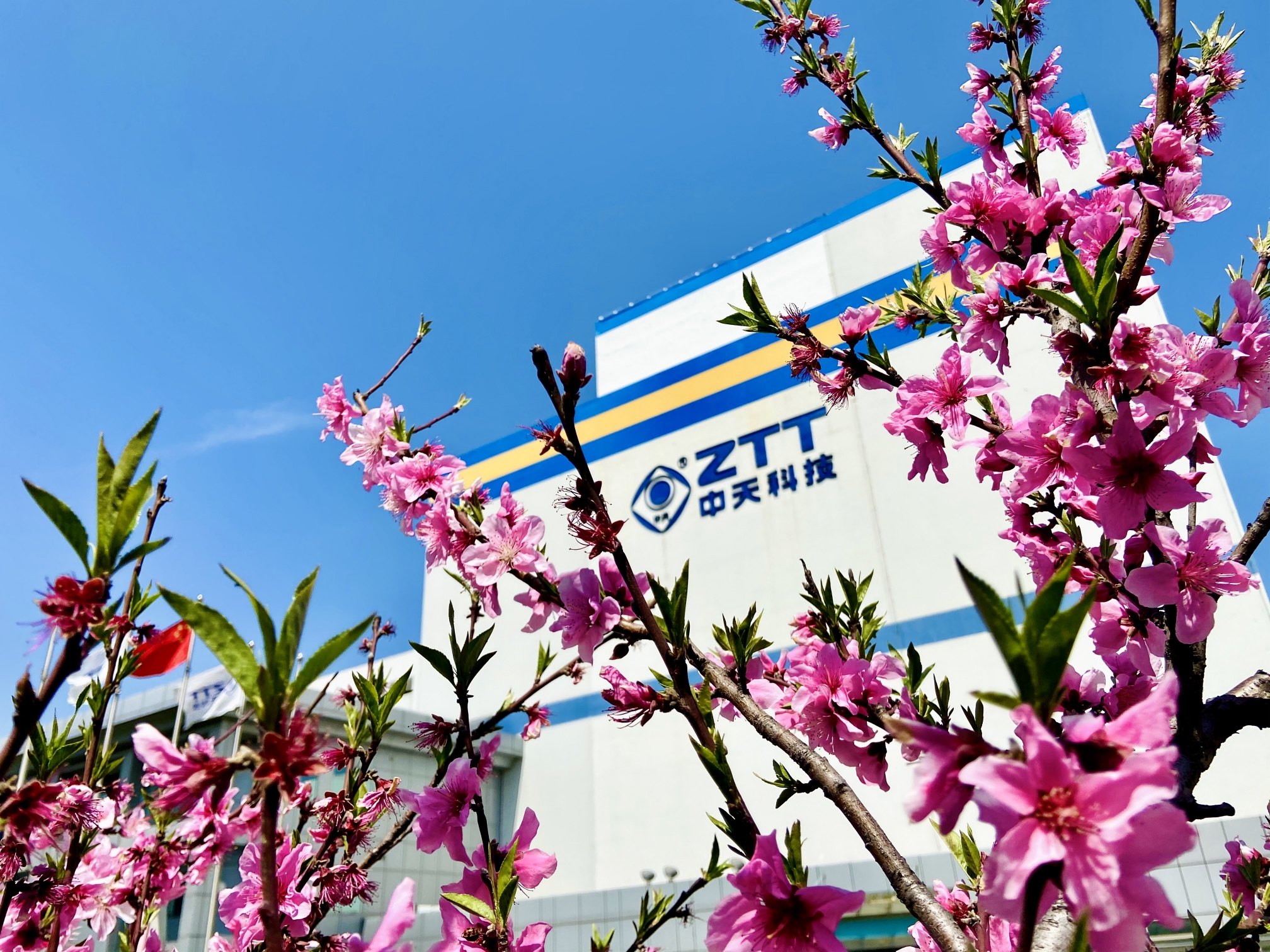 龙八- long8(国际)唯一官方网站