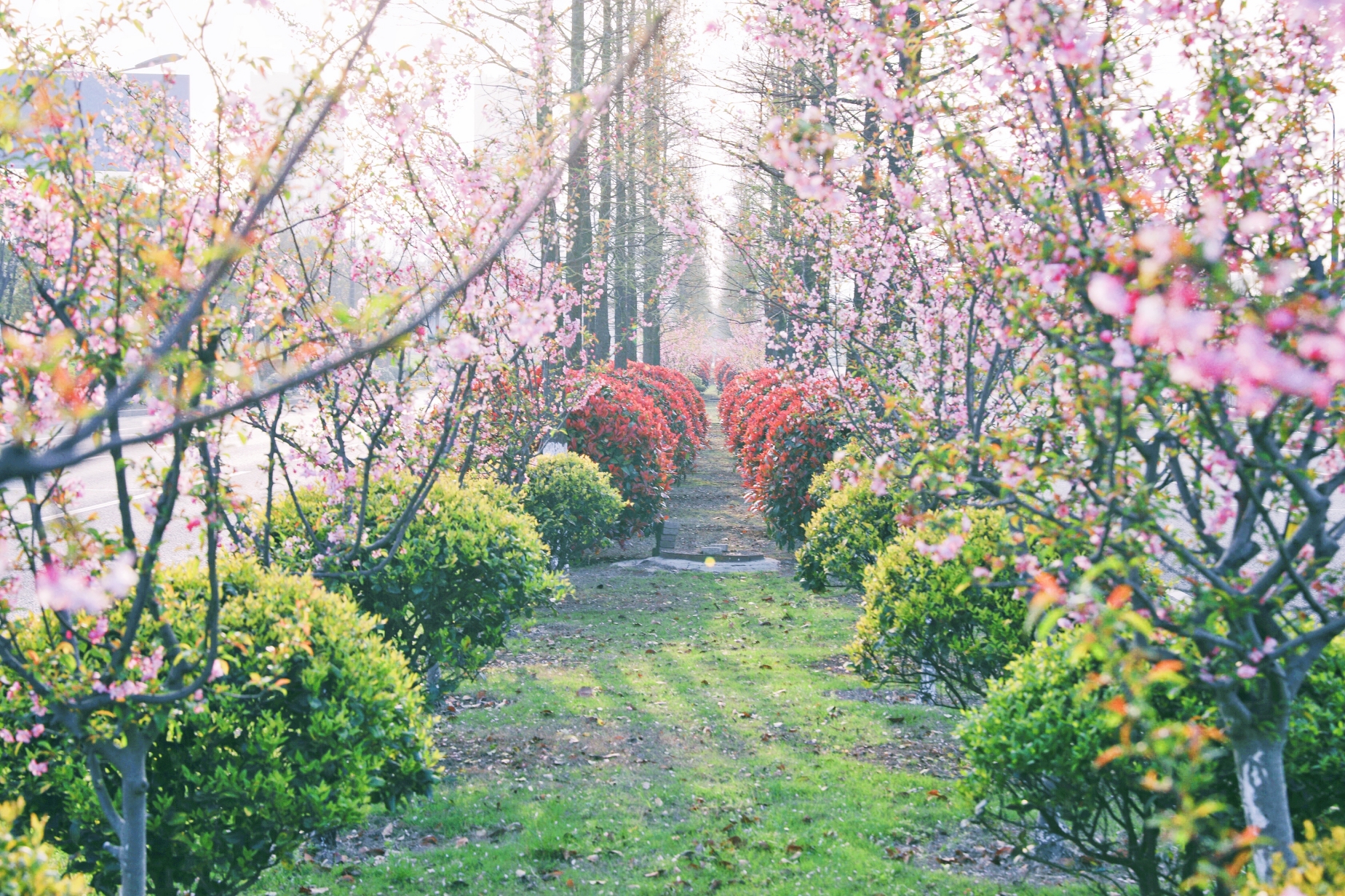 龙八- long8(国际)唯一官方网站