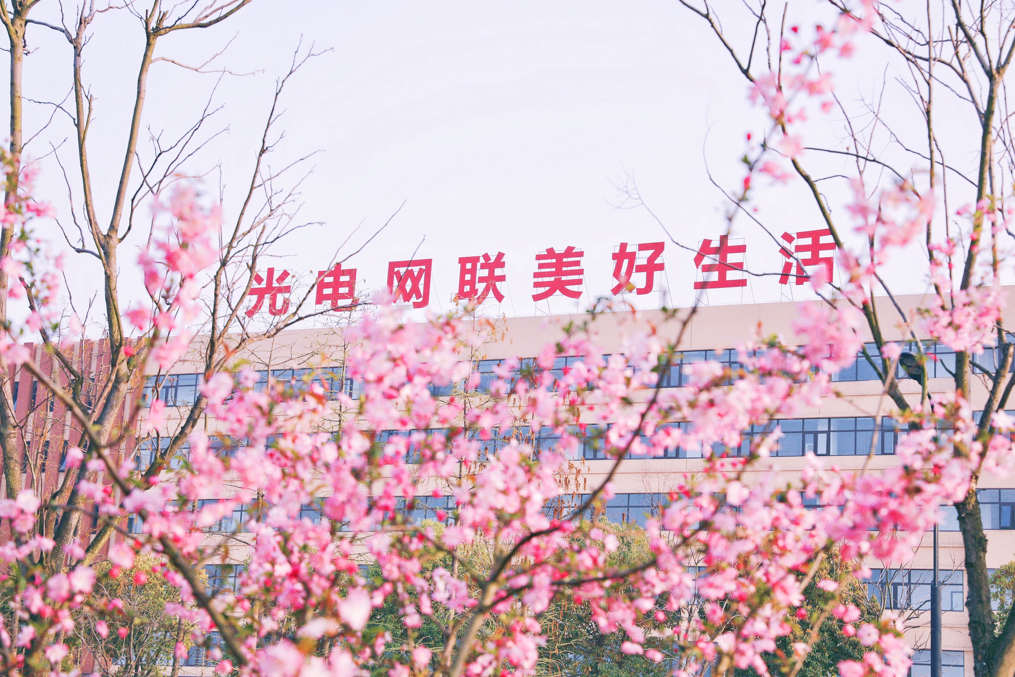 龙八- long8(国际)唯一官方网站