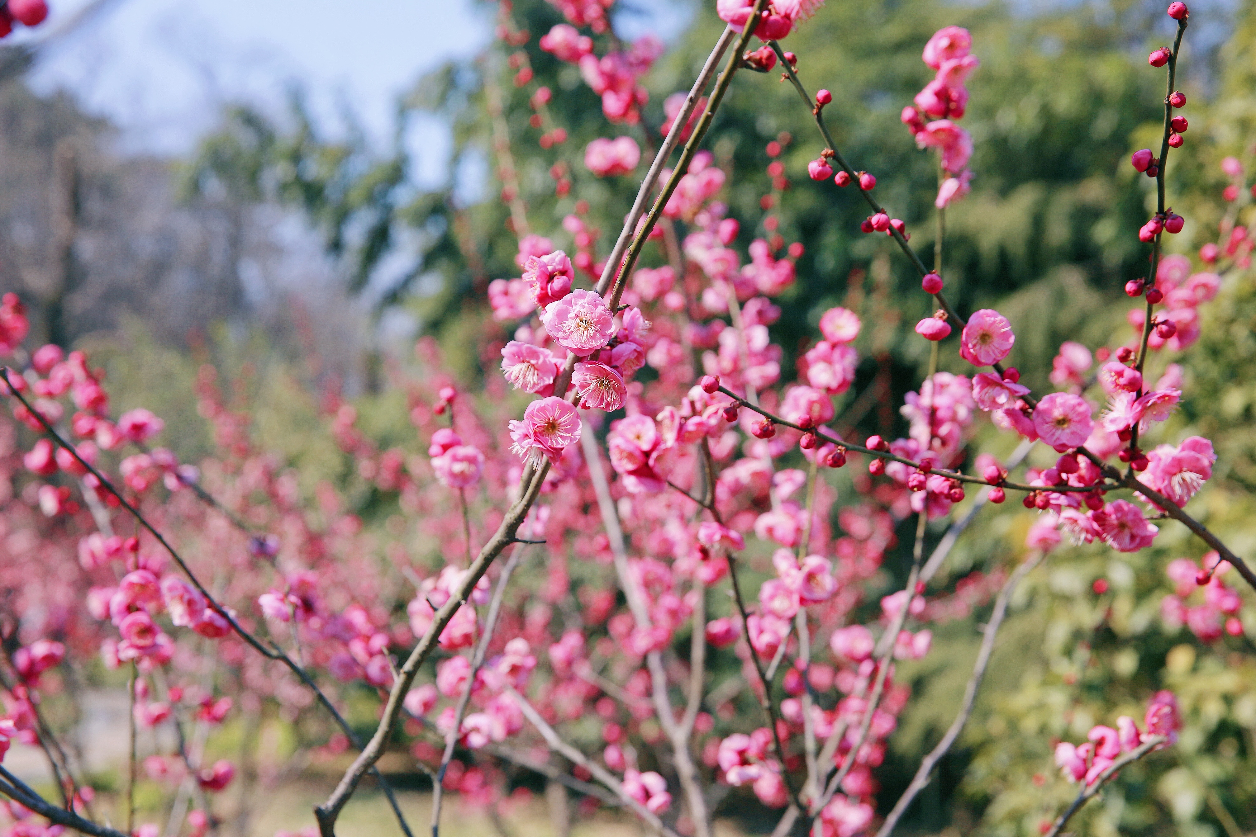 龙八- long8(国际)唯一官方网站