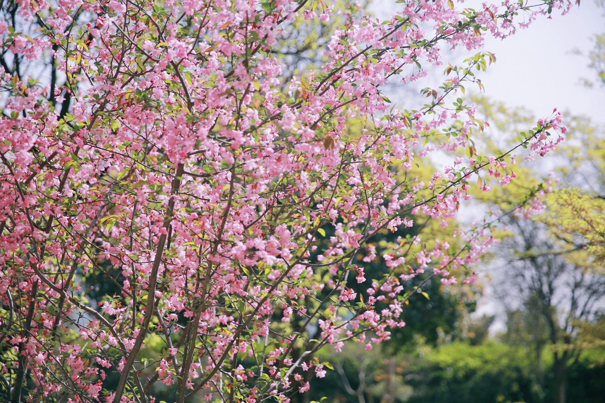 龙八- long8(国际)唯一官方网站