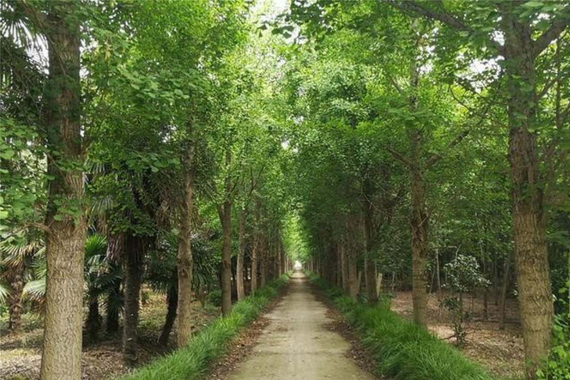 龙八- long8(国际)唯一官方网站