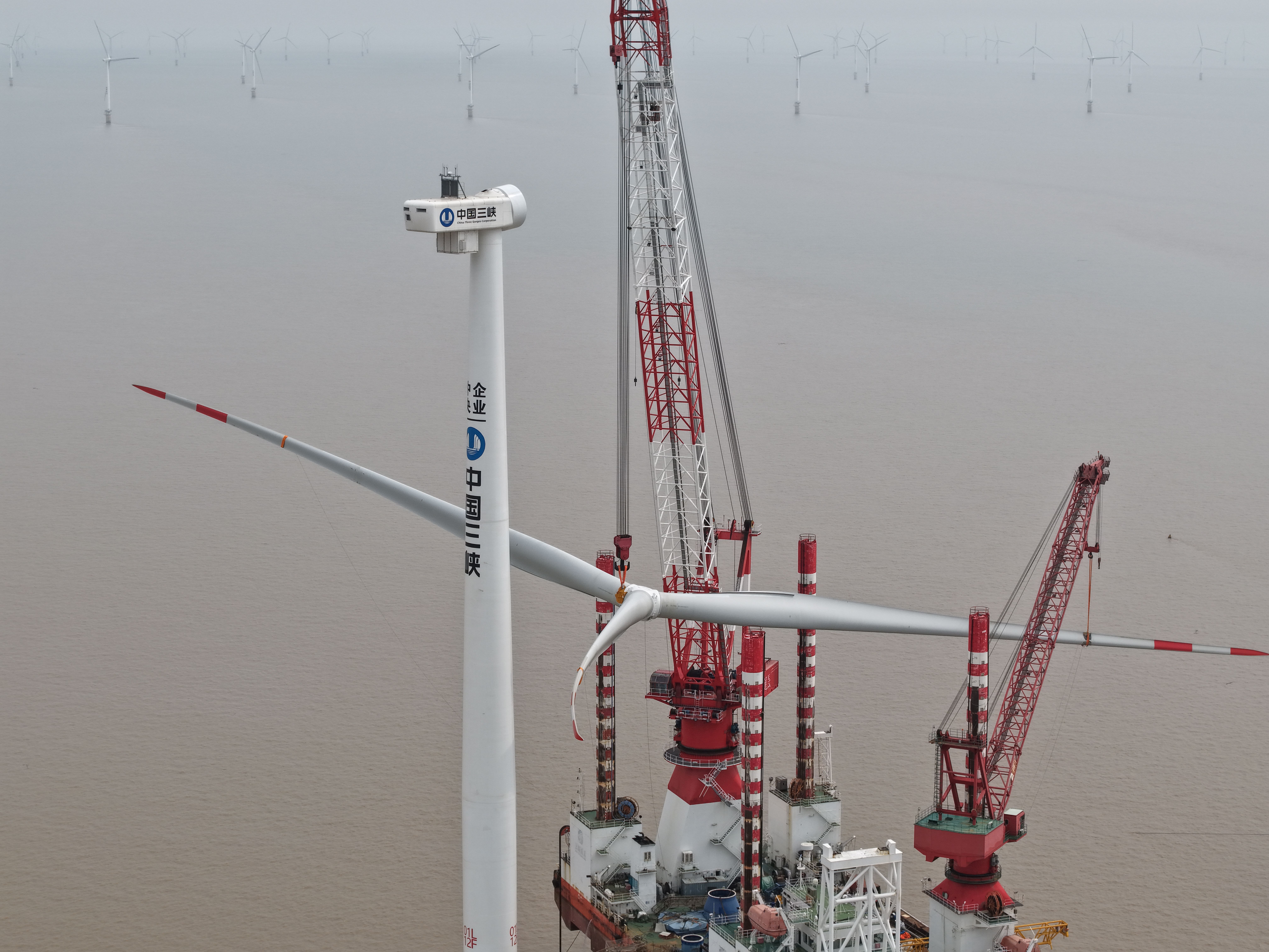 龙八- long8(国际)唯一官方网站